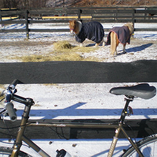 bike next to fence with two horses wearing blankets